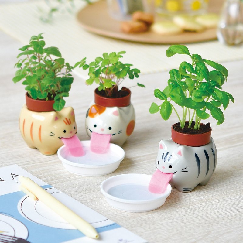Peropon 新版 吐舌动物自动吸水种植组 猫咪大集合 - 植栽/盆栽 - 陶 咖啡色