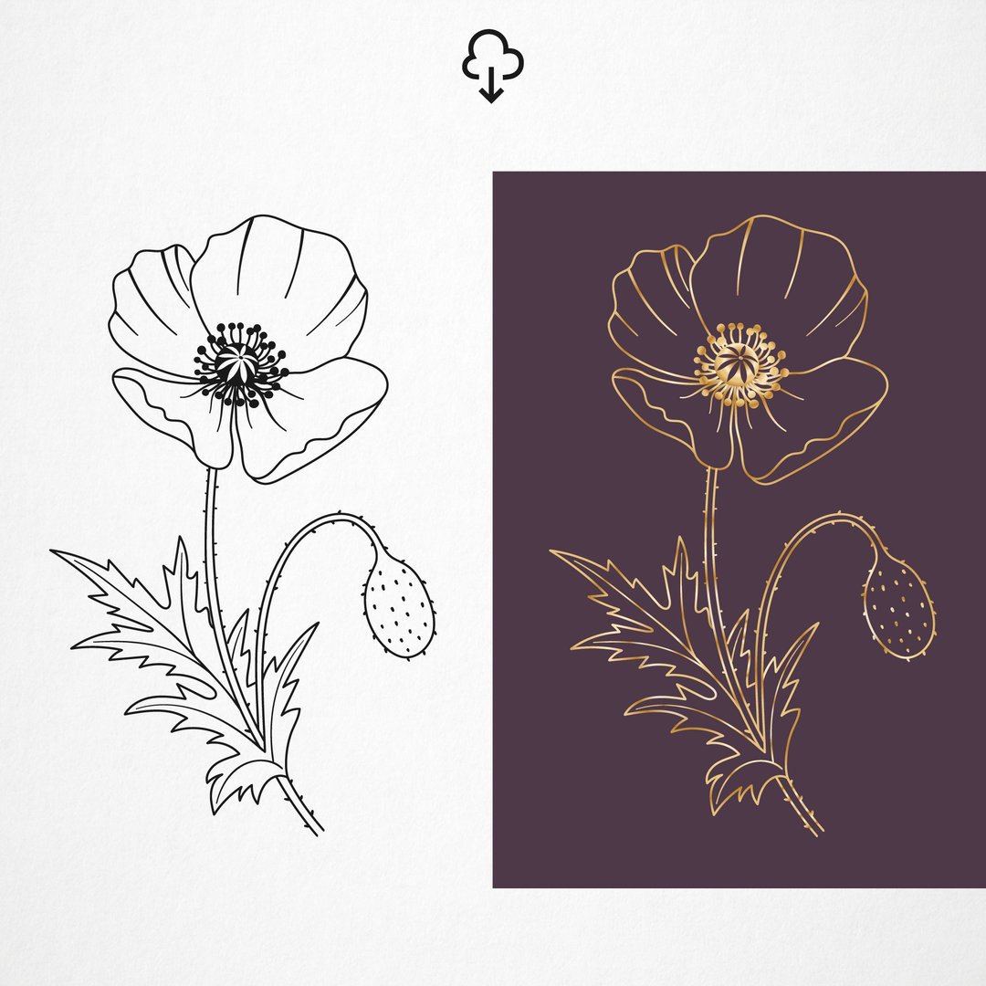 罂粟花图像。 SVG、EPS、PNG、JPG、DXF 格式的数字插图 - 插画/绘画/写字 - 其他材质 红色