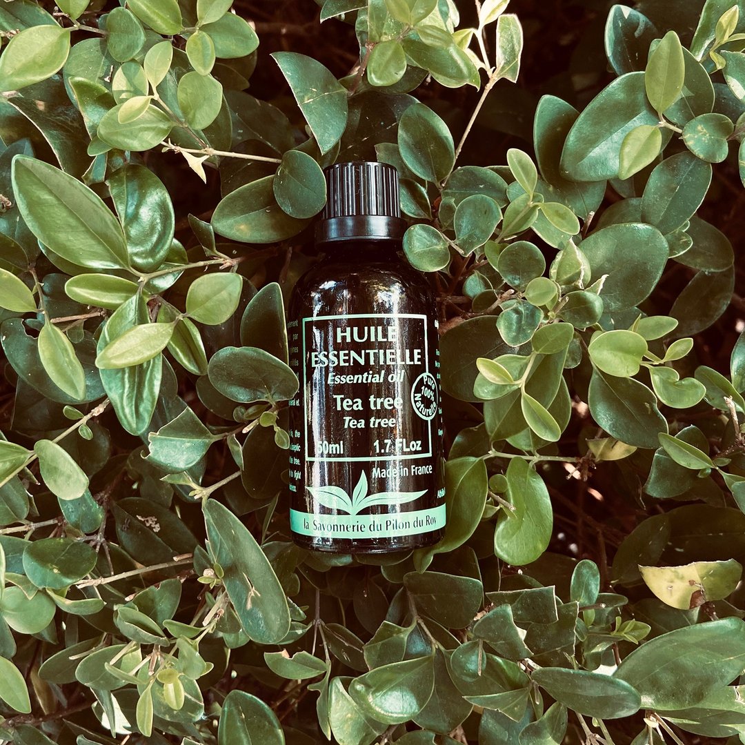 茶树单方精油 Tea Tree - 香薰/精油/线香 - 精油 