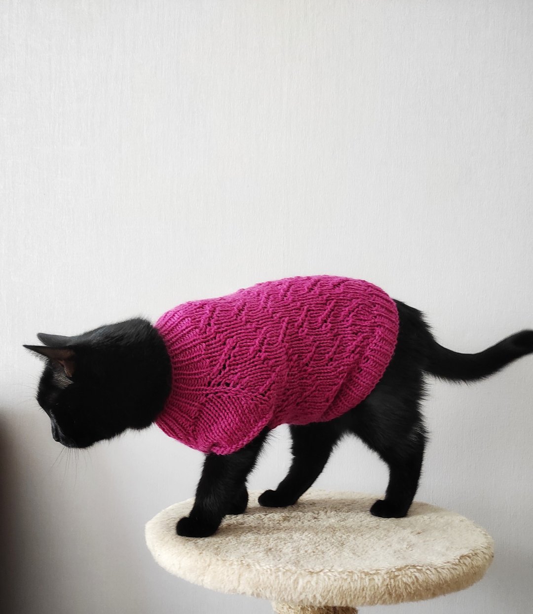 Sweater for cats Jumper for pets Knit cat clothing Pets outfit Cat clothes - 衣/帽 - 羊毛 