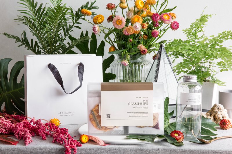 送礼选择 | 香草果干水综合礼组【10入/盒】赠冷泡瓶/礼品袋 - 茶 - 新鲜食材 绿色