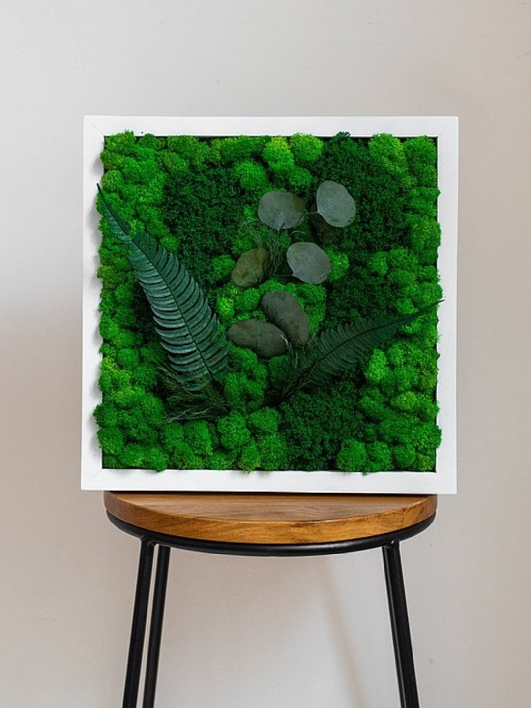 苔藓画,苔藓画,苔藓墙装饰 - 墙贴/壁贴 - 植物．花 