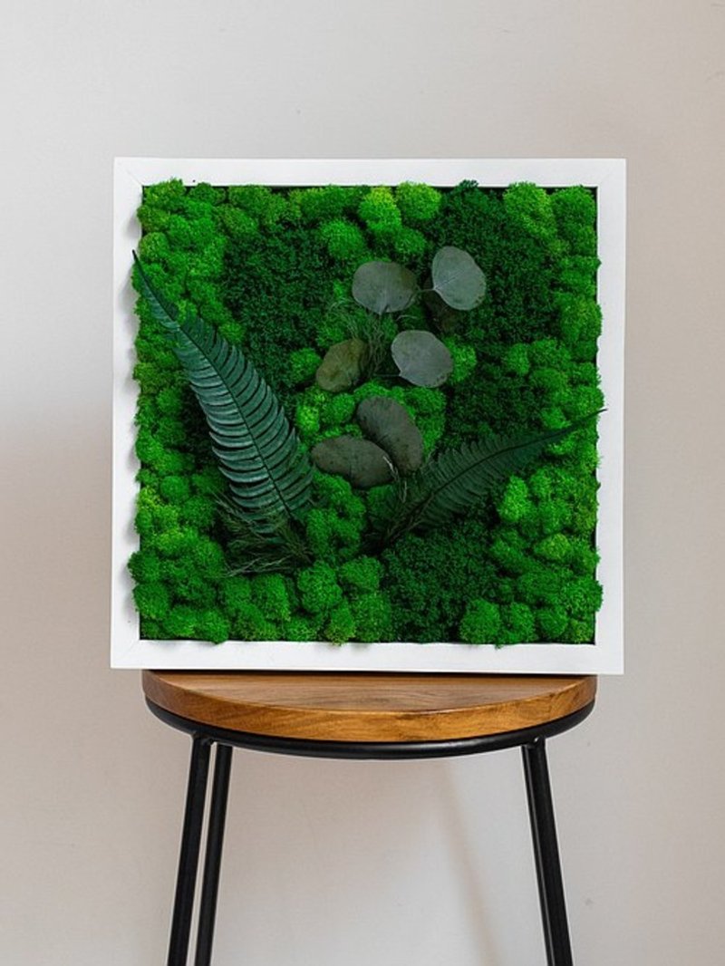 苔藓画,苔藓画,苔藓墙装饰 - 墙贴/壁贴 - 植物．花 
