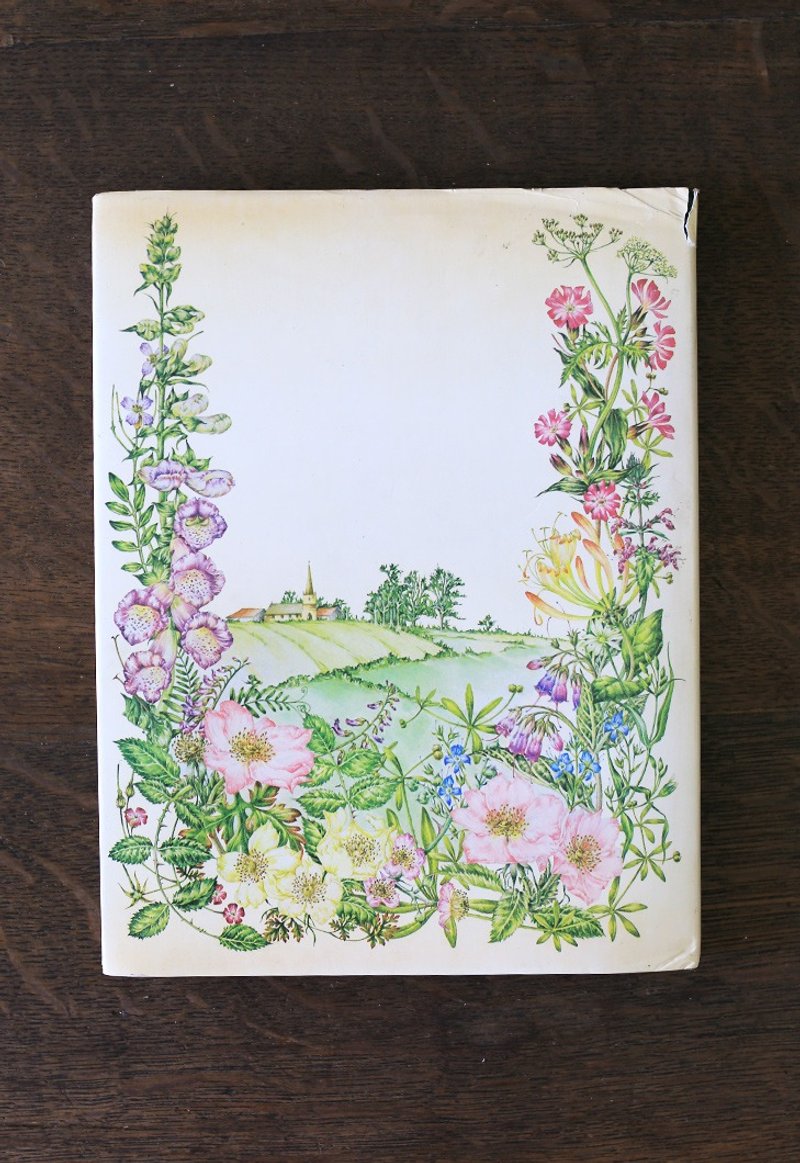 英国1993s【树篱】自然花草 插画 摄影 图书 复古老书 - 刊物/书籍 - 纸 绿色