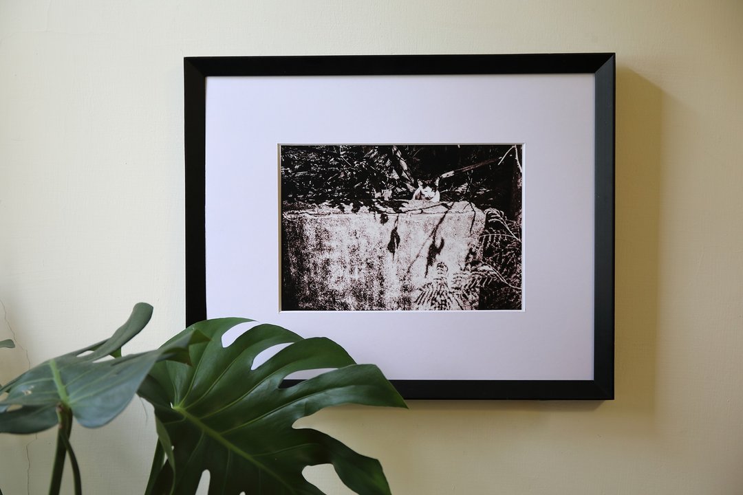 我不是柴郡猫  你不是爱丽丝 - 摄影集 - 纸 
