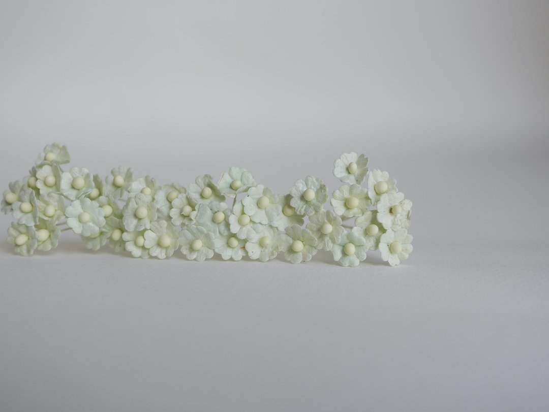 纸花，用品，100 件。加拿大海葵尺寸 1.0 厘米，浅薄荷色 - 其他 - 纸 绿色