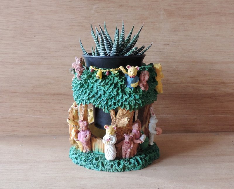 疗育系 · 花园小日常 多肉植物 - 植栽/盆栽 - 植物．花 