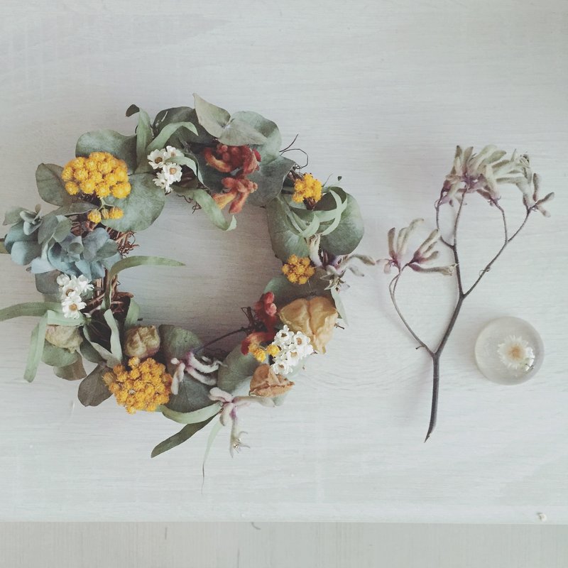 袋鼠花花圈 生日礼物/情人节礼物/干燥花 - 植栽/盆栽 - 植物．花 绿色