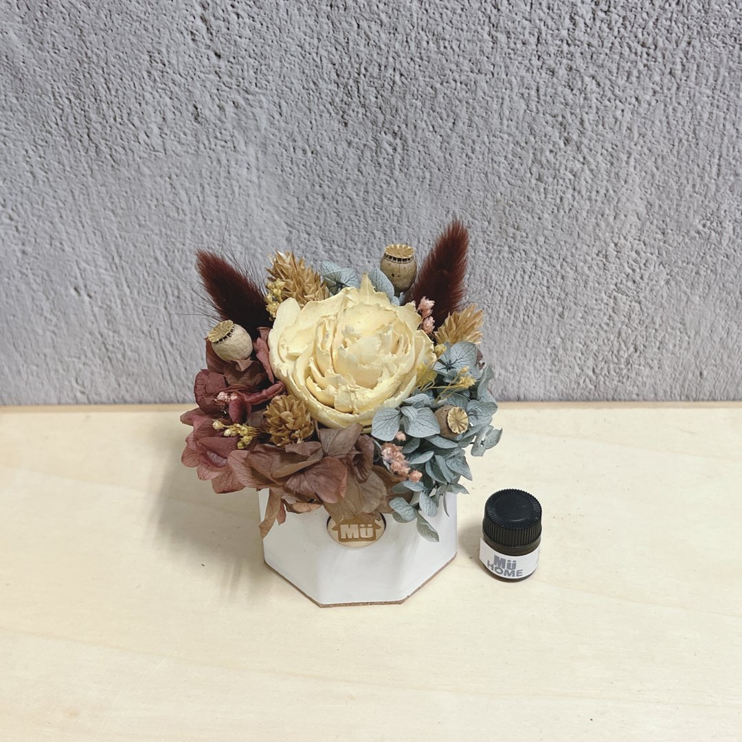 秋高气爽 索拉花香氛小盆栽 干燥花 香氛石 附1ml香精油 - 干燥花/捧花 - 植物．花 橘色