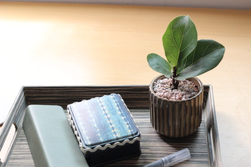 土培植栽│琴叶榕_室内植物 办公室盆栽 店内摆设 送礼 - 植栽/盆栽 - 陶 