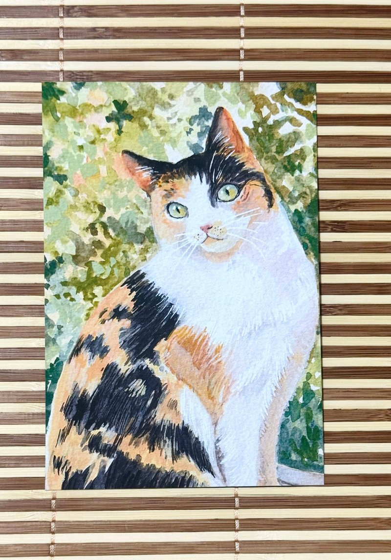 |NO.3 猫咪| 水彩插画明信片 - 卡片/明信片 - 纸 