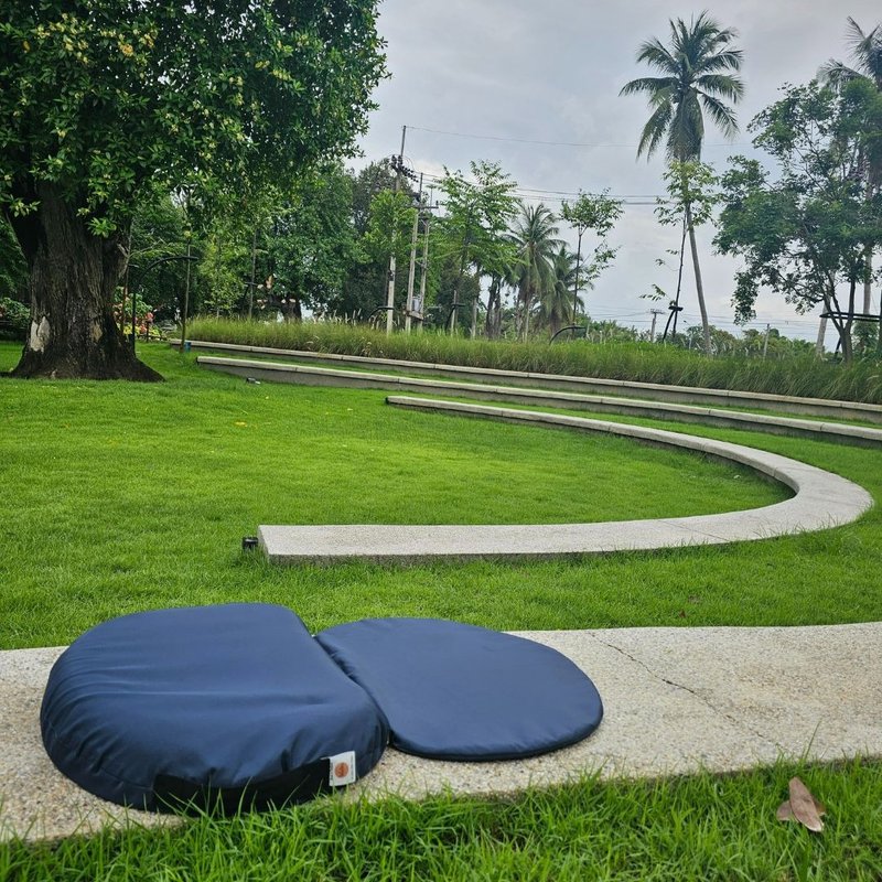 ComfortStep是一款不同等级的橡胶冥想坐垫，连续5年畅销，减轻背部疼痛，坐着也不累。 - 其他 - 乳胶 白色