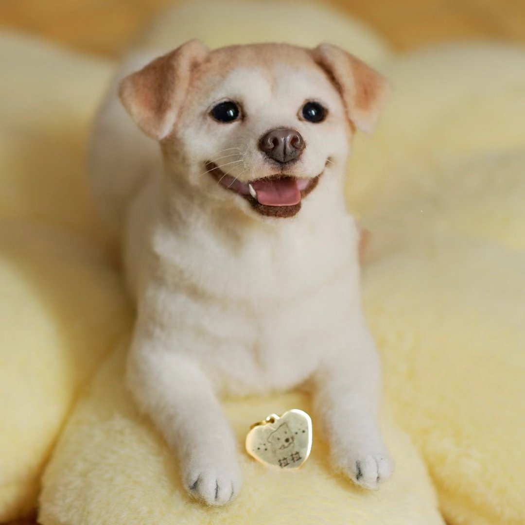 定制 逼真犬 毛孩 宠物 田园犬 羊毛毡 娃娃 似颜绘 纪念 狗狗 ,7 - 玩具 - 羊毛 多色