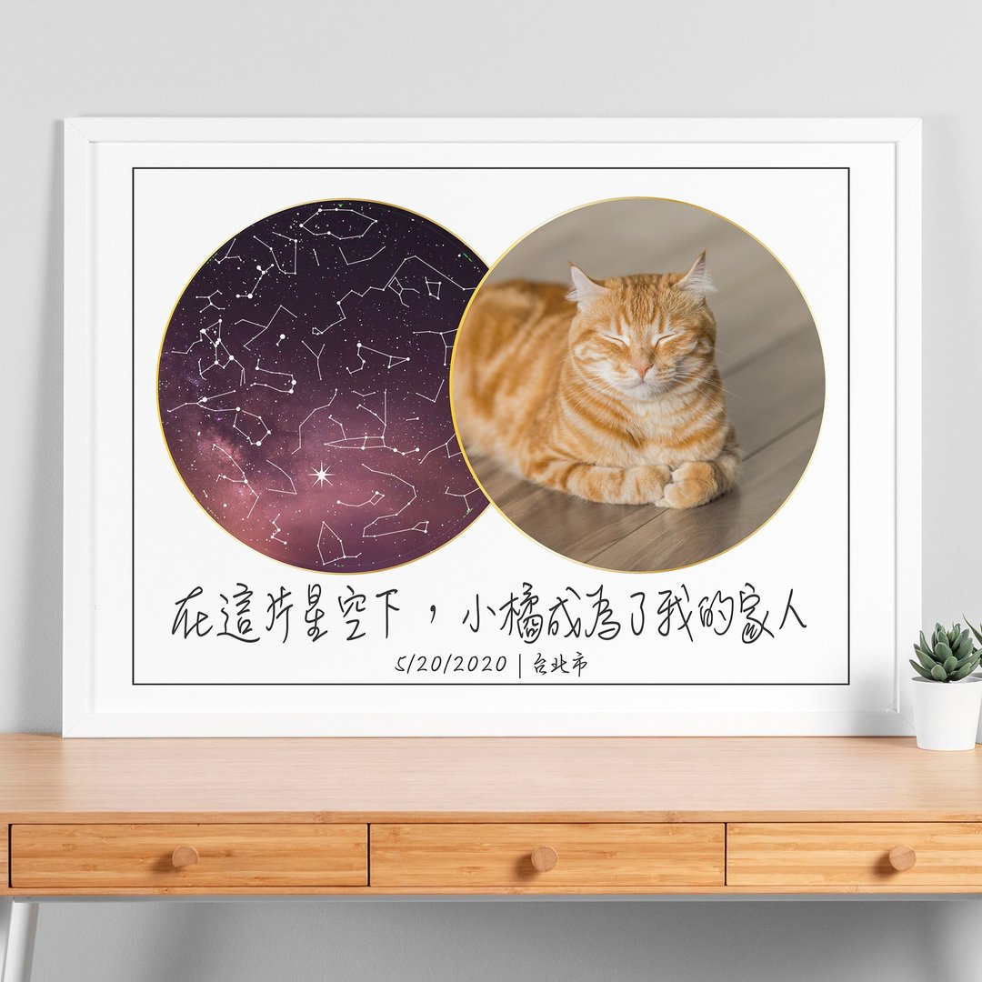 定制化猫咪周岁生日A4木铝框根据日期地点纪录与它相遇的真实星座 - 海报/装饰画/版画 - 纸 白色