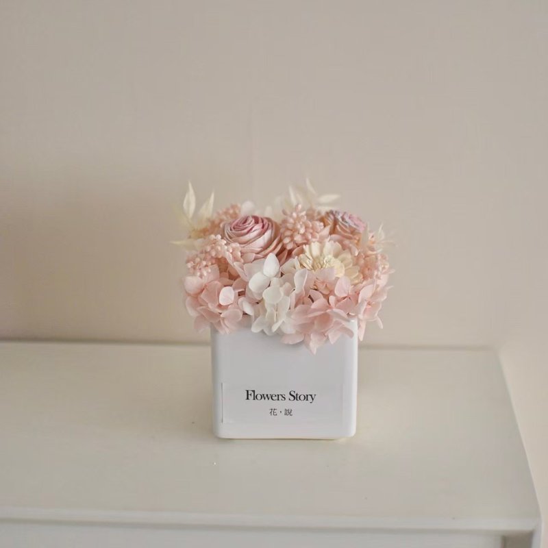 /干燥盆花盆花/开幕 情人节 七夕 教师节 盆花 伴娘礼 毕业 - 干燥花/捧花 - 植物．花 多色