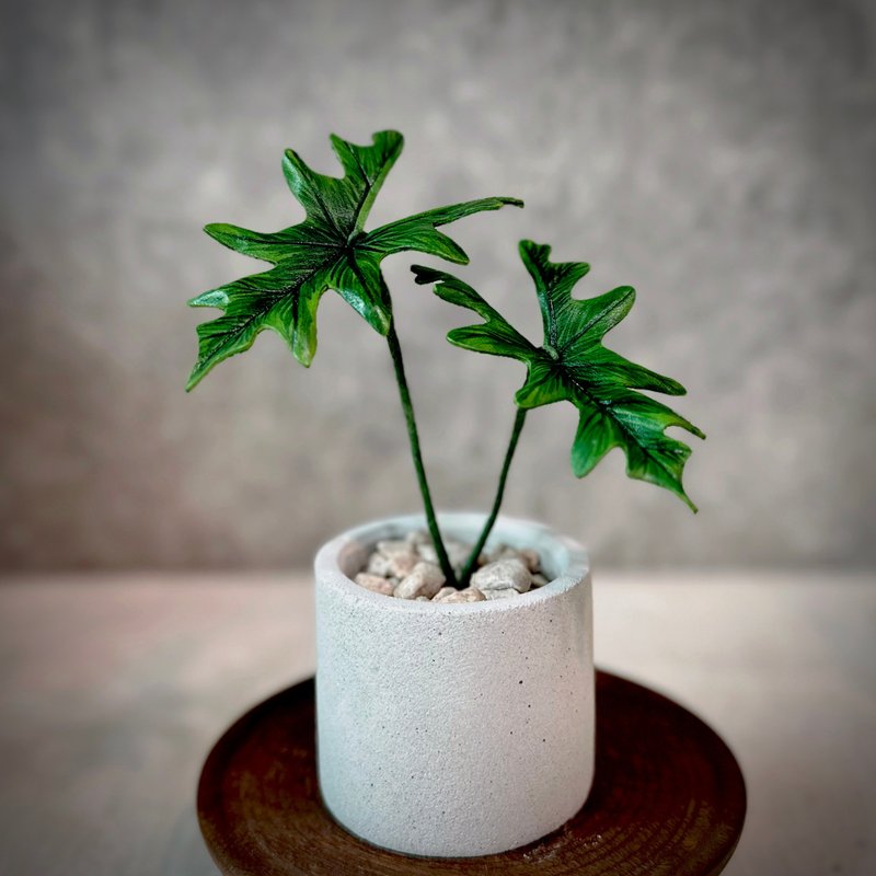 杰克林观音莲－手工革制小盆栽 送礼 - 植栽/盆栽 - 真皮 