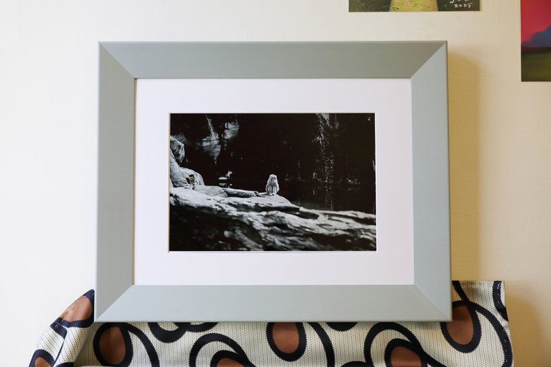 花果山水濂洞的猴子 - 摄影集 - 纸 