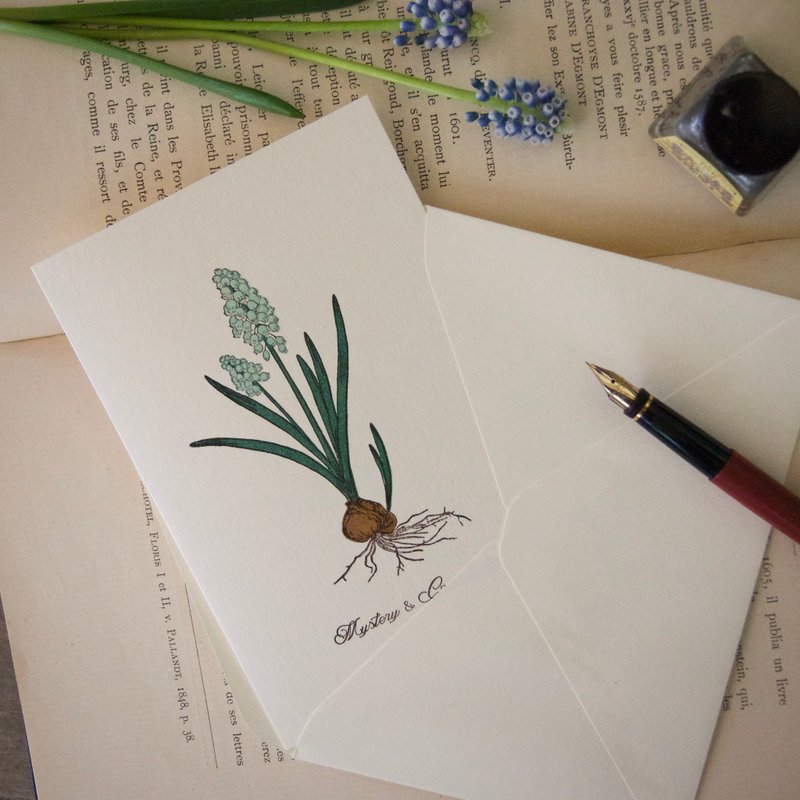 [Large Greeting Card] Muscari / Letterpress Printing / 1 Card and 1 Envelope / 105 x 155mm - 卡片/明信片 - 纸 