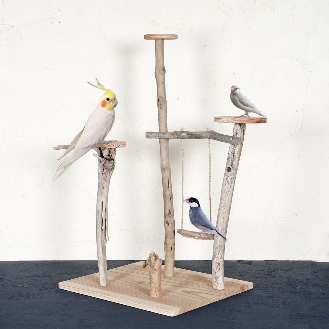 浮木鲈鱼 [Birdland Lullaby] 鸟架、鲈鱼、浮木、浮木艺术、124 - 玩具 - 木头 卡其色