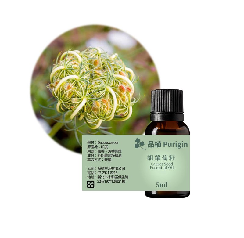品植Purigin 胡萝卜籽精油 - 香薰/精油/线香 - 精油 