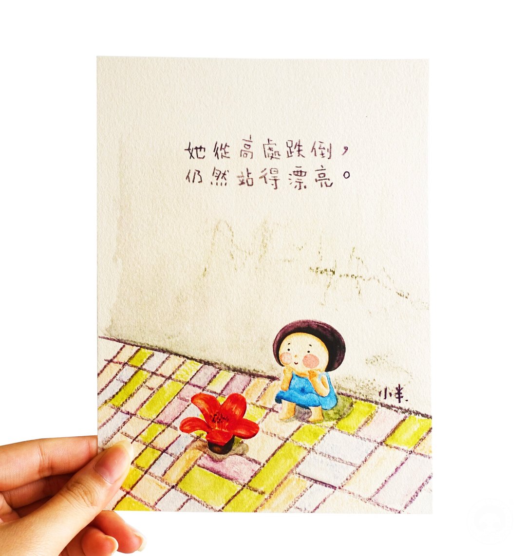 38. 小半画 - 木绵花 - 卡片/明信片 - 纸 