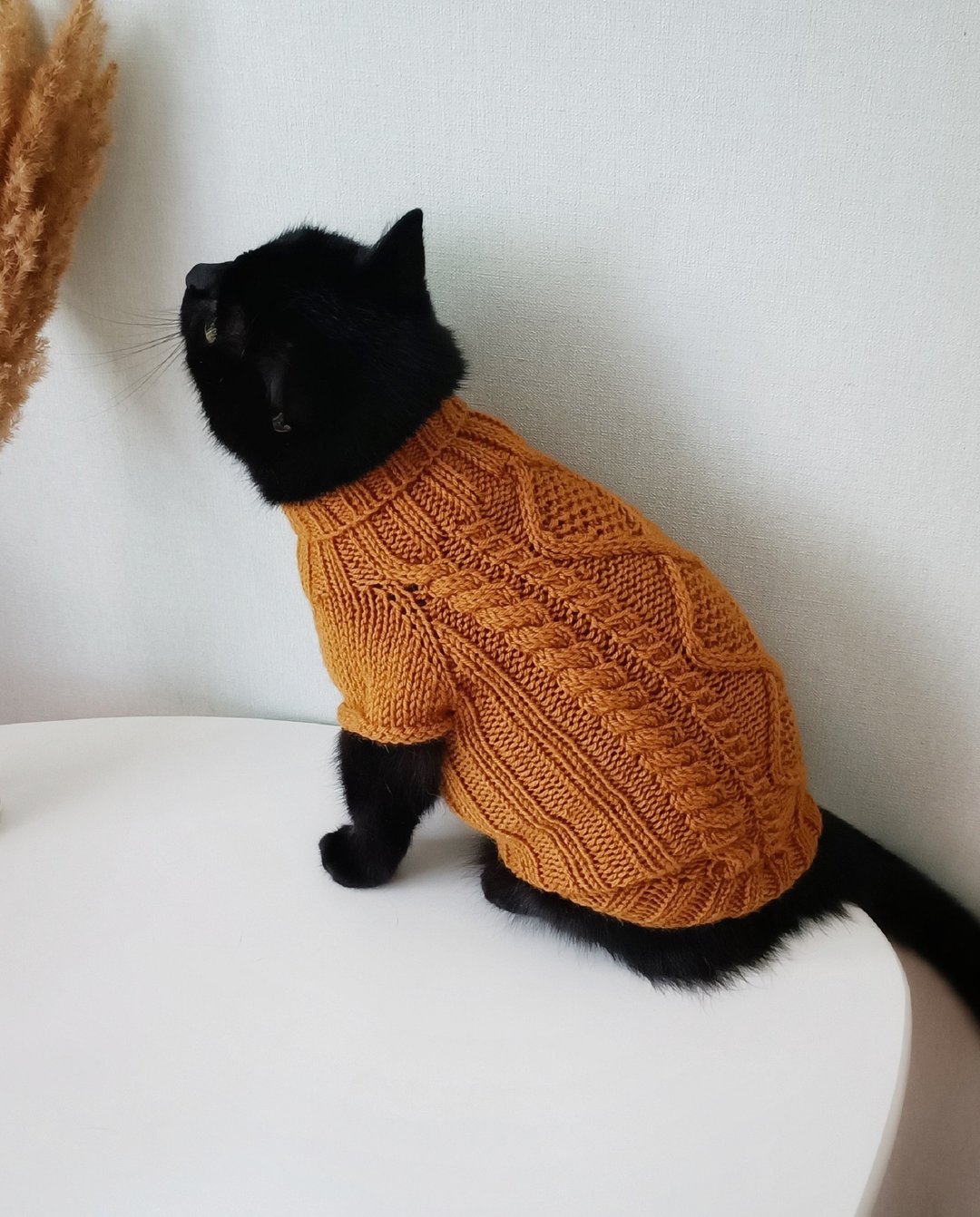 手工猫毛衣 斯芬克斯毛衣 羊毛猫毛衣 小型狗毛衣 - 衣/帽 - 羊毛 