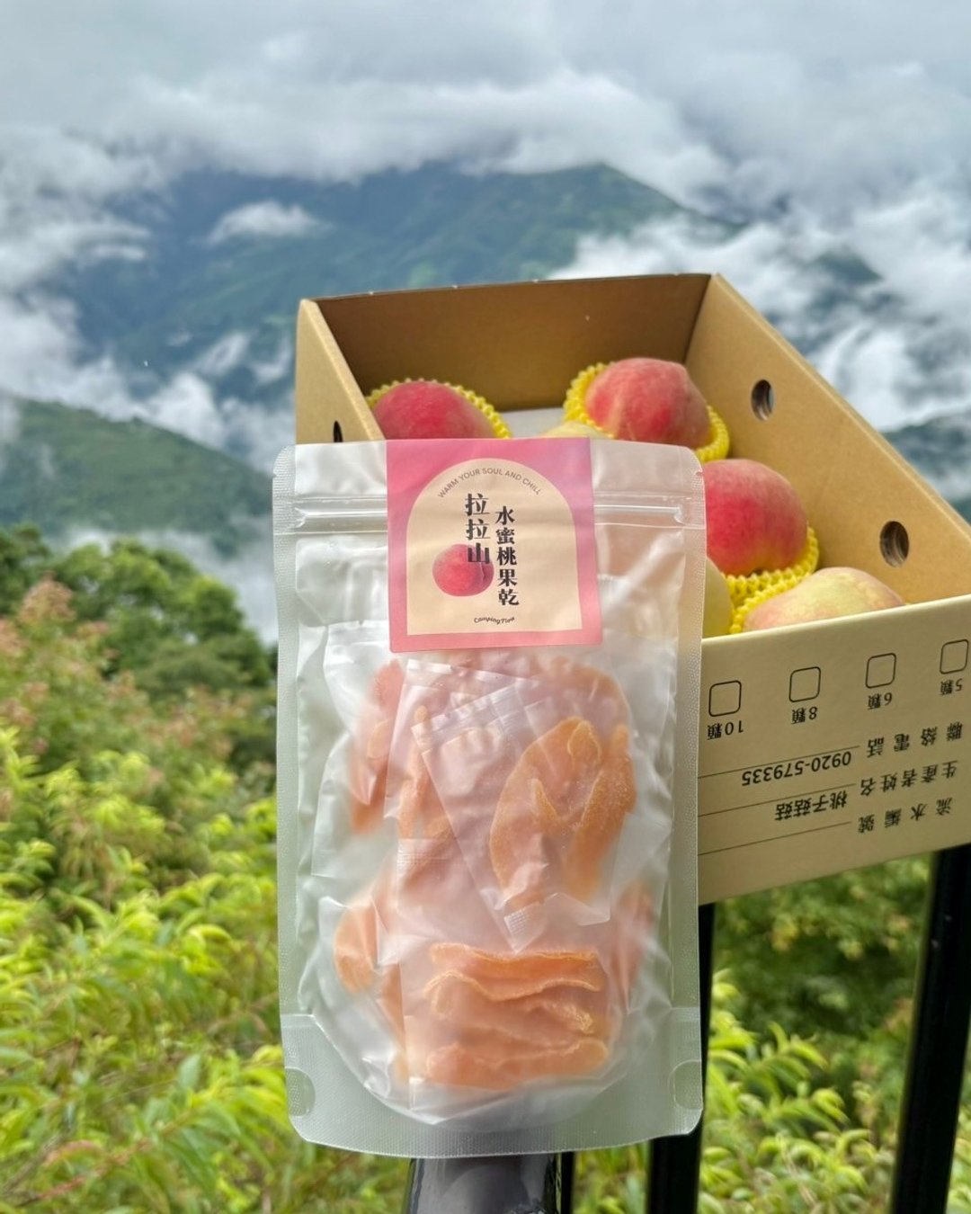 拉拉山水蜜桃果干 | 在地果农现摘烘制 | 24hrs 出货 - 水果干 - 新鲜食材 