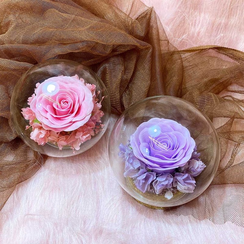 苏醒的爱情 (共四色) - 干燥花/捧花 - 玻璃 多色