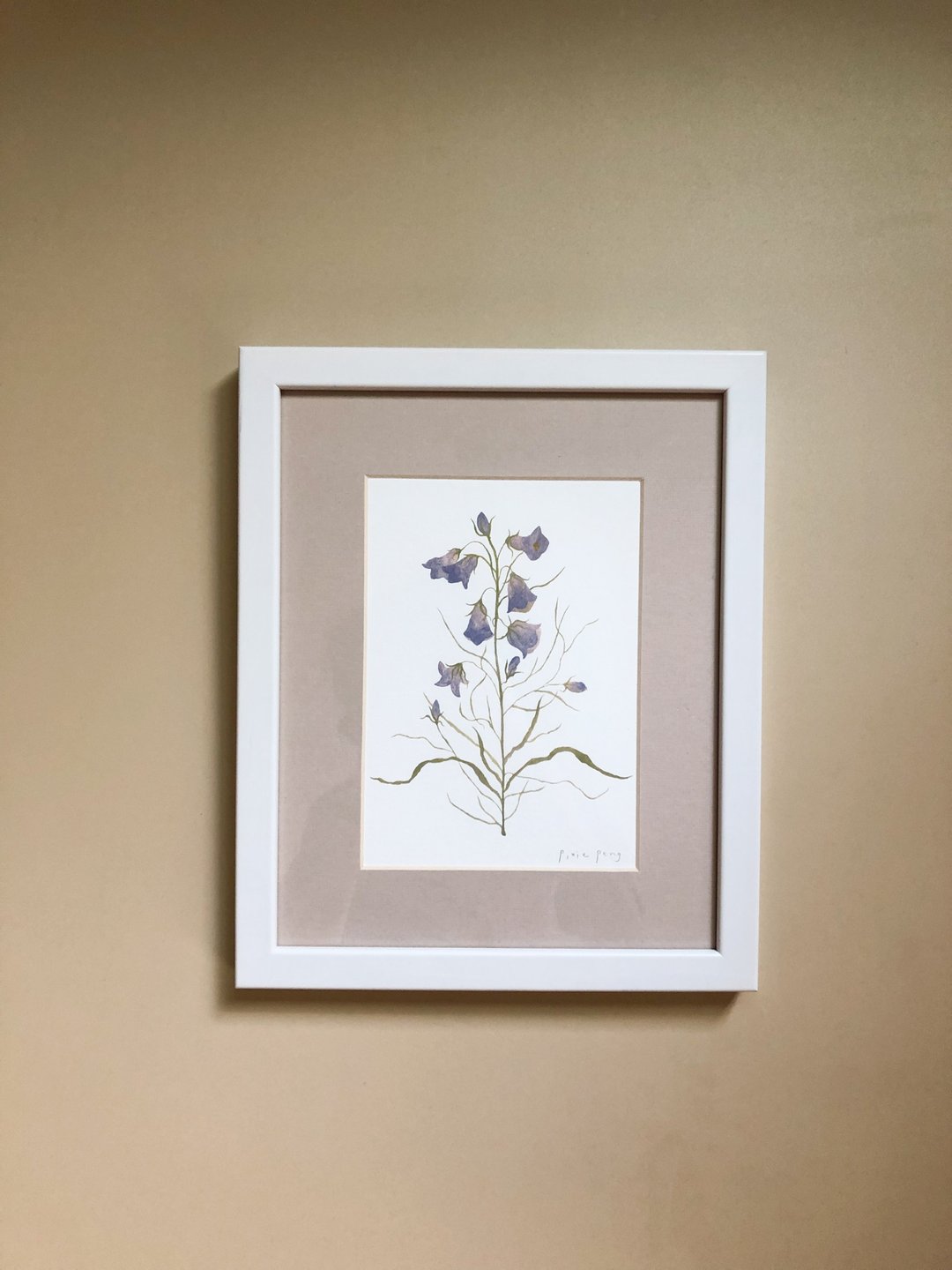 风铃花/植物画作/挂画/含裱框 - 海报/装饰画/版画 - 纸 