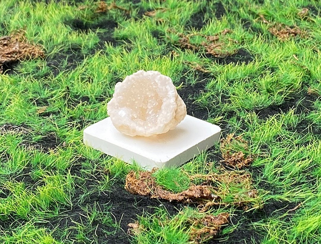 招财可爱贝壳造型玛瑙白晶洞 开运 聚财 快速出货 办公室 风水 - 摆饰 - 水晶 白色