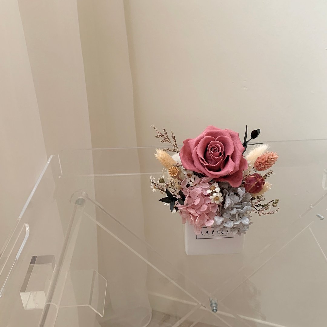 莫兰迪烟熏粉香氛永生盆花 永生花/开幕盆花/升迁盆花/桌花 - 干燥花/捧花 - 植物．花 粉红色