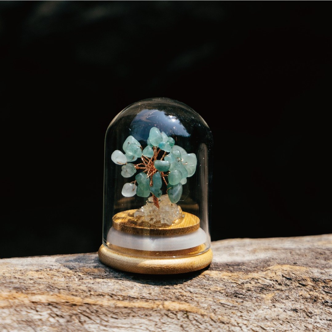 【Montagne】Preserved | 绿东陵树 | 财富。贵人 - 摆饰 - 水晶 