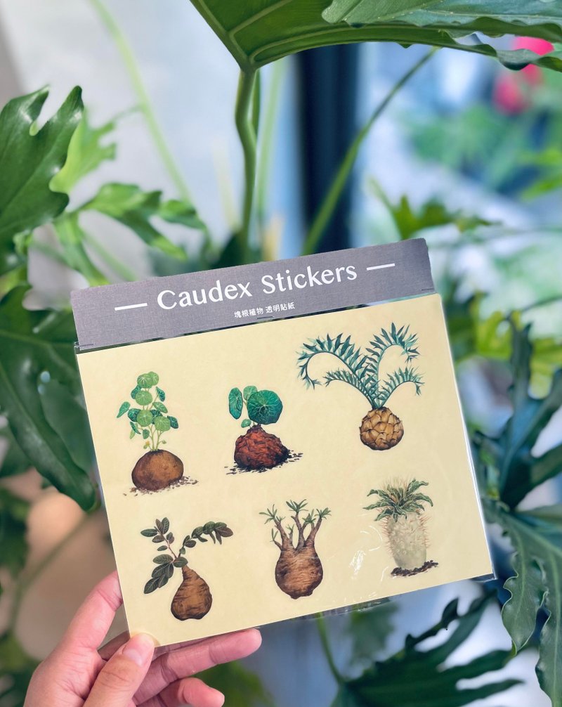 块根植物 透明雾面贴纸 六种 - 贴纸 - 防水材质 绿色