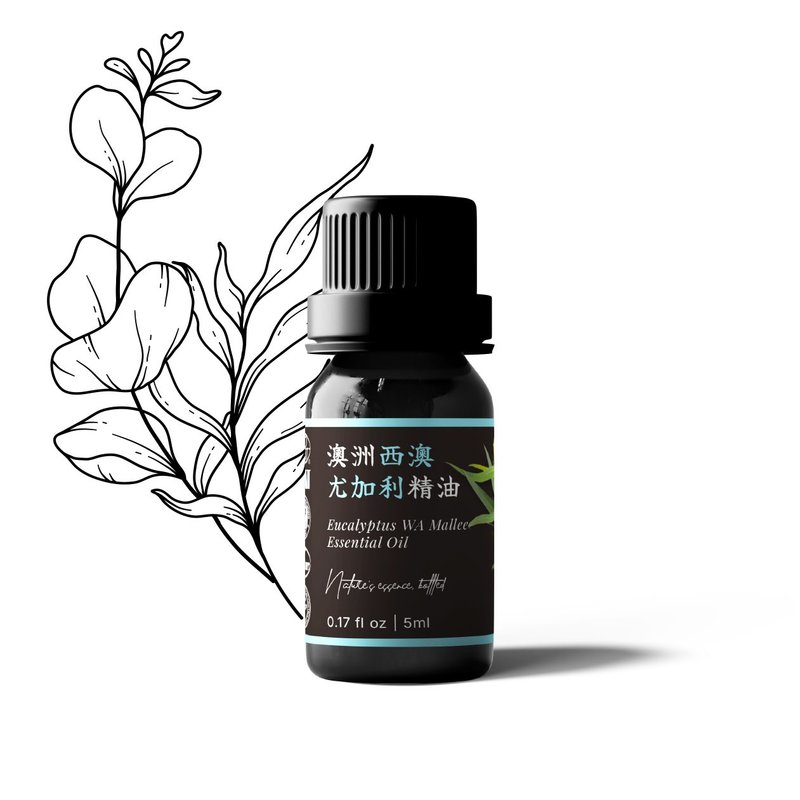 【卡佛香】澳洲西澳/柯奇 尤加利精油 - 香薰/精油/线香 - 玻璃 黑色