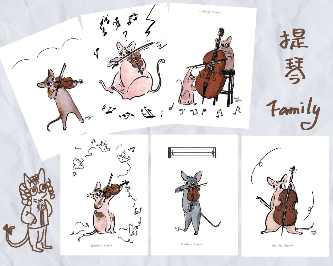 无毛猫拉提琴 - 卡片/明信片 - 纸 
