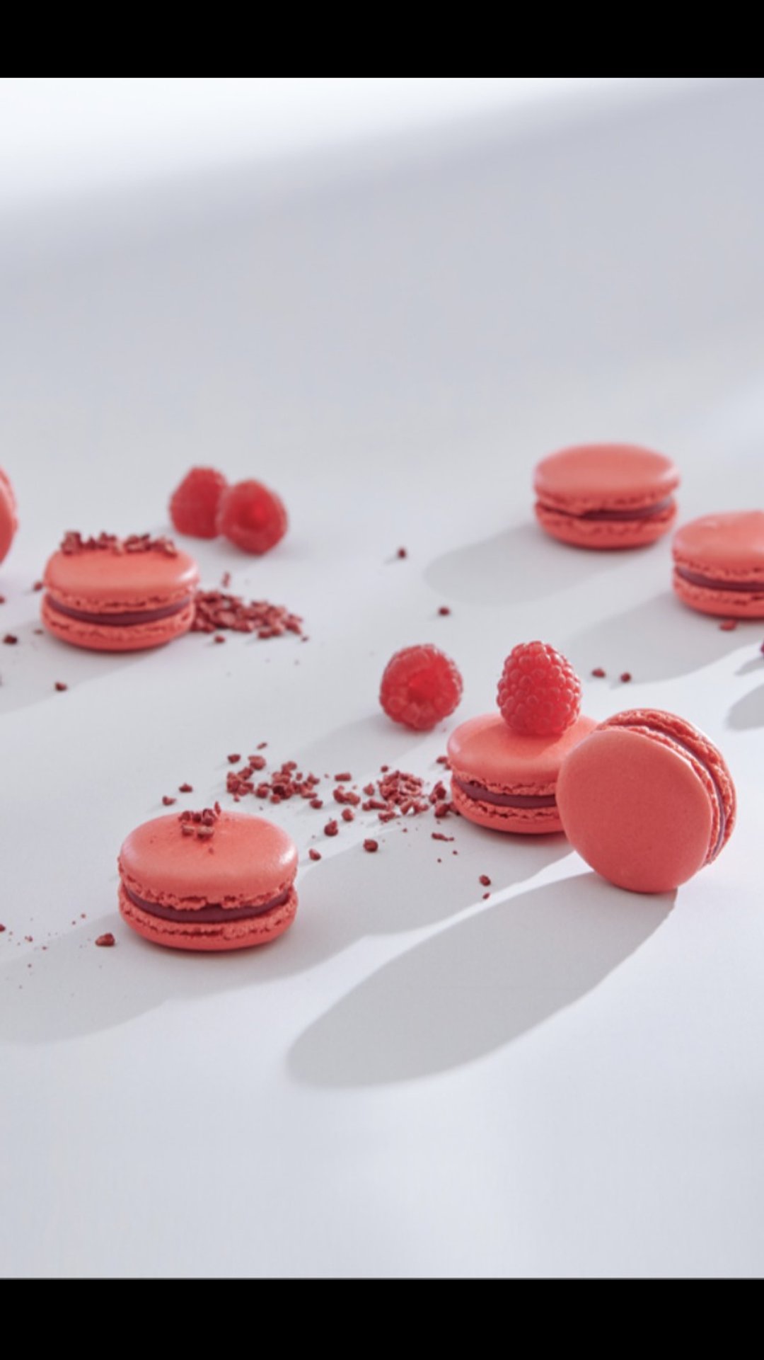 HERSTON【 覆 盆 子 Framboise 】1入马卡龙 - 蛋糕/甜点 - 其他材质 多色