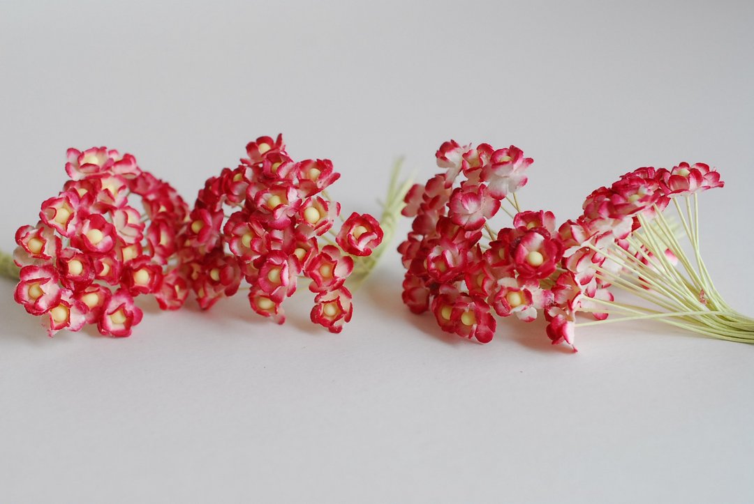 paper flower, supplies, 100 pcs. Canadian anemone, size 0.8 cm., red brush color - 其他 - 纸 红色