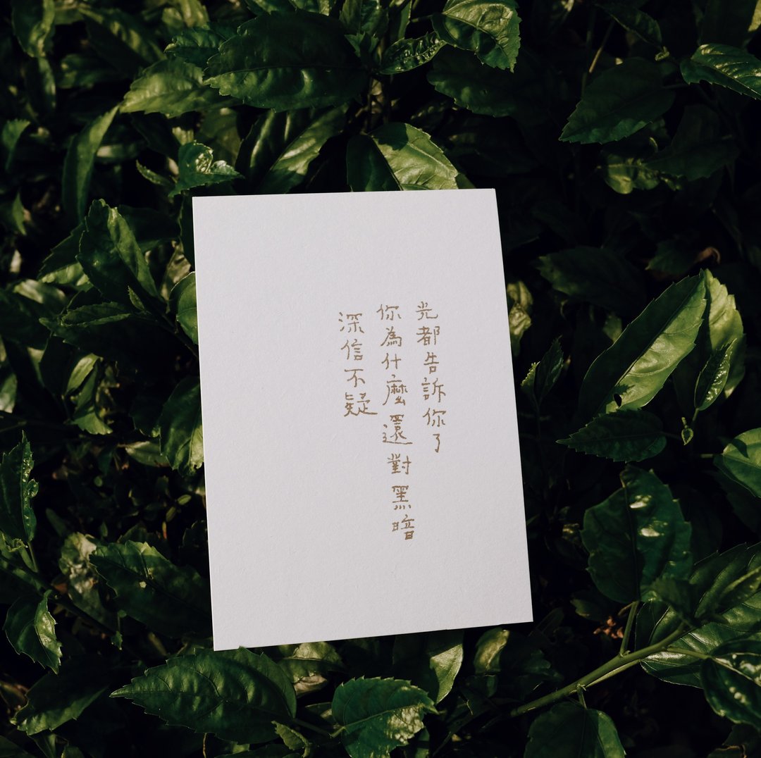 此时此刻。光都告诉你了 文字明信片 青青的岛 - 卡片/明信片 - 纸 