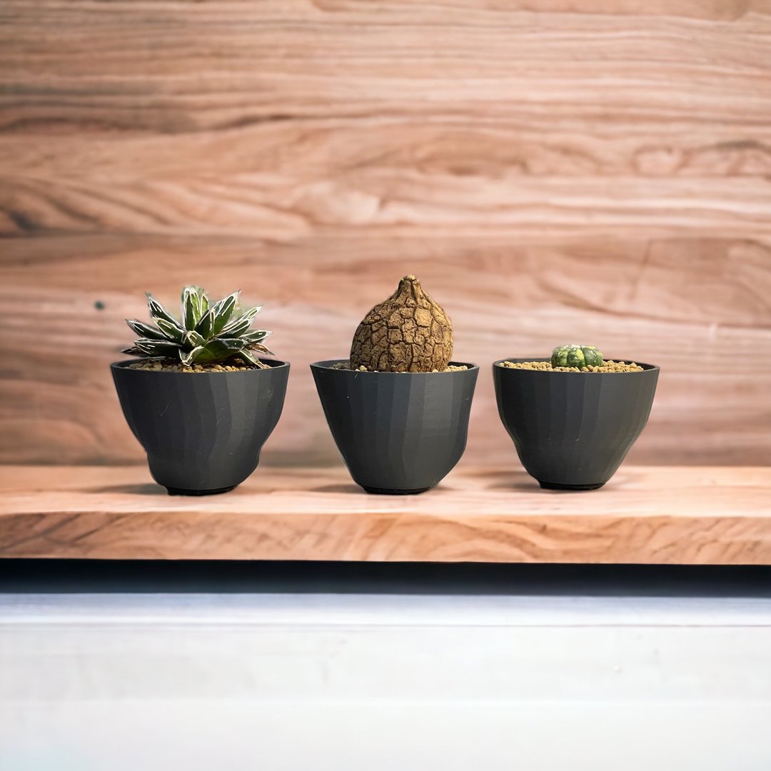 植物盆器-三杯 - 植栽/盆栽 - 塑料 黑色