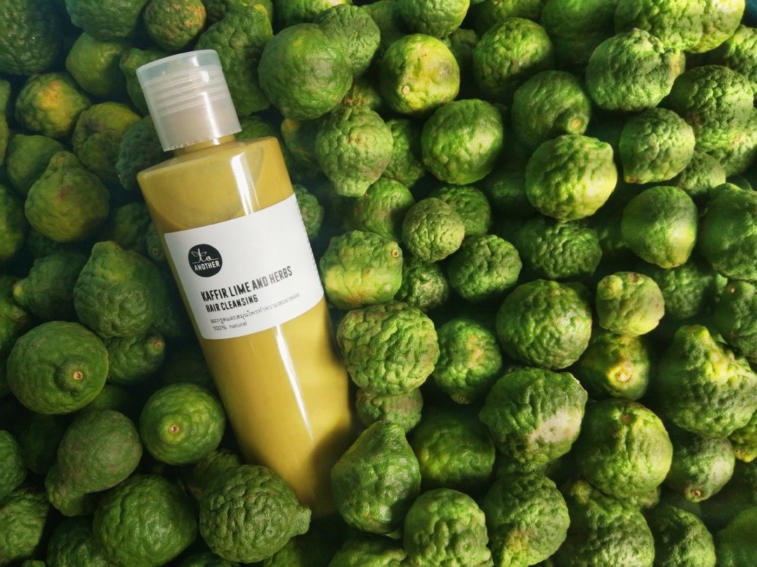 Kaffir Lime and herbs hair cleansing - 洗发用品 - 其他材质 绿色