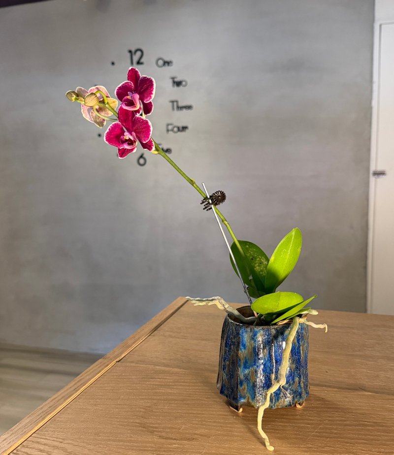 手捏陶盆 花器 - 植栽/盆栽 - 陶 