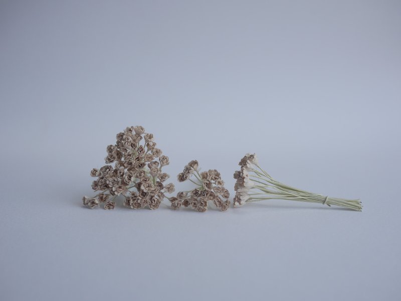 纸花，DIY 100 朵满天星，100 入，尺寸 0.5 厘米。卡其色。 - 其他 - 纸 卡其色