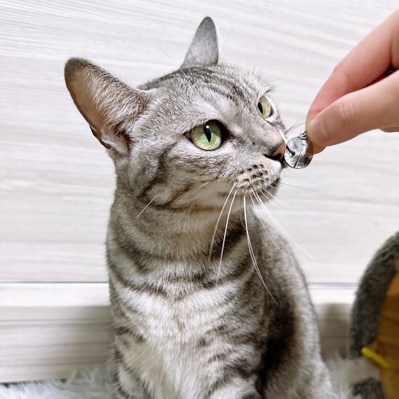 宠物纪念饰品制作/毛孩鼻纹拓印及毛球项链 - 金工/饰品 - 纯银 