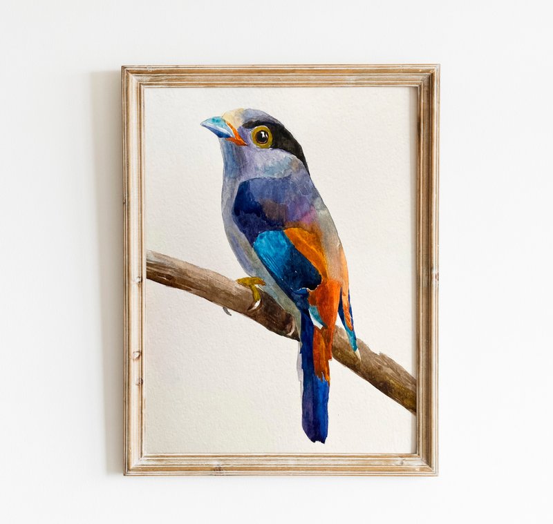 七彩鸟 / 原创手绘水彩画 / 独特 / 墙艺术 - 墙贴/壁贴 - 纸 多色