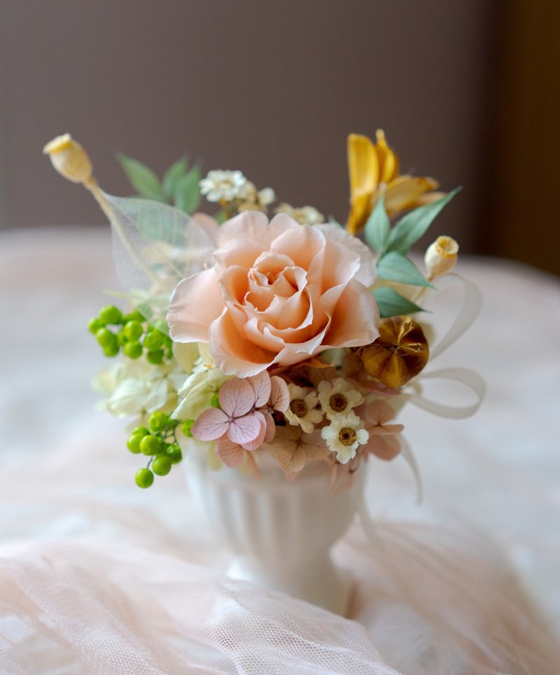 蜜橘永生精致盆花 永生花礼 干燥花 生日礼物 居家摆饰 七夕情人 - 干燥花/捧花 - 植物．花 橘色