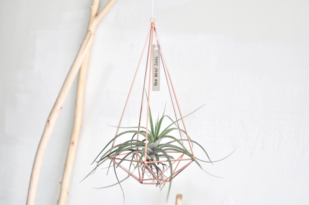 空气凤梨/漂浮挂饰/钻石型/玫瑰金/大 - 植栽/盆栽 - 其他金属 金色