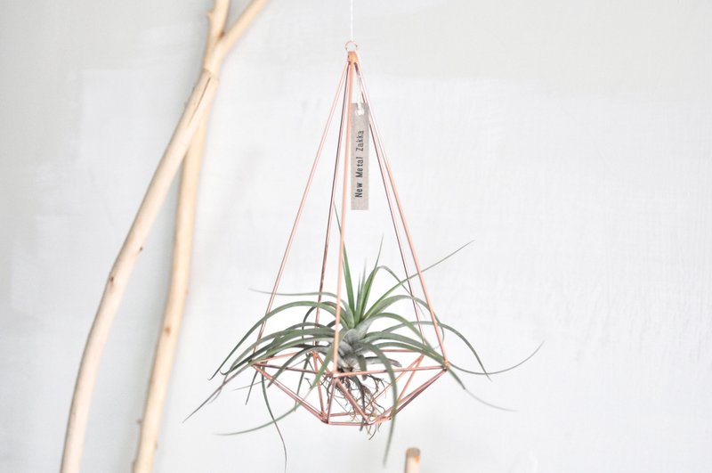 空气凤梨/漂浮挂饰/钻石型/玫瑰金/大 - 植栽/盆栽 - 其他金属 金色