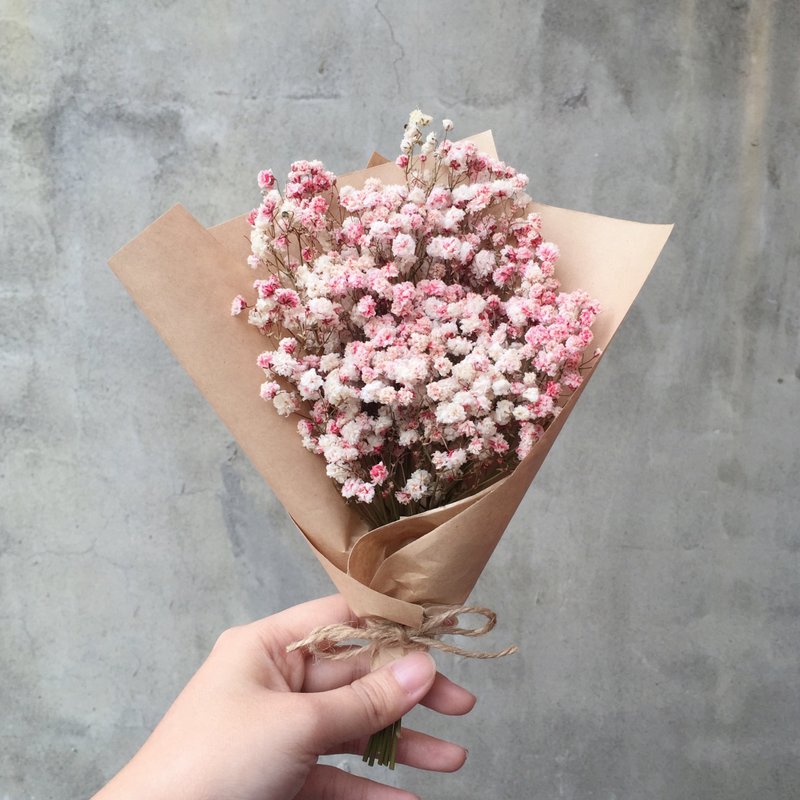 渐层粉红 干燥满天星花束 - 植栽/盆栽 - 植物．花 粉红色