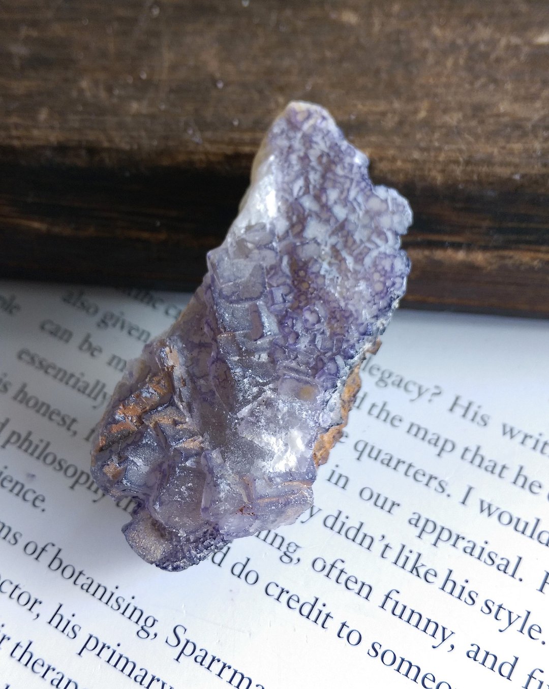 Fluorite 贵州产地 紫边萤石 天然矿石 原矿 - 摆饰 - 其他材质 