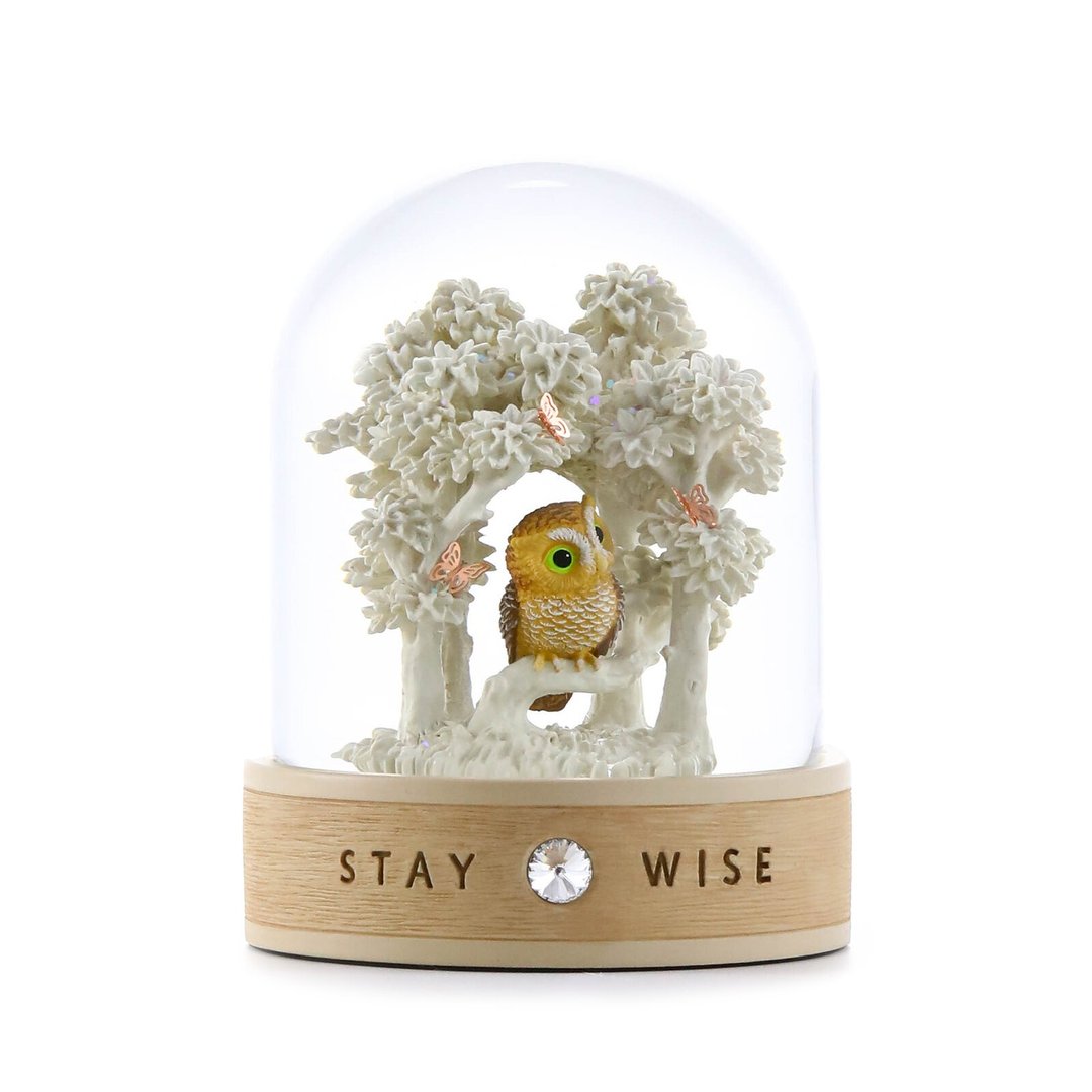 心灵守护神- Stay wise 玻璃罩摆件生日情人圣诞交换弥月猫头鹰 - 摆饰 - 玻璃 